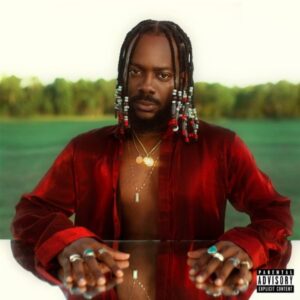 Adekunle Gold ft. Tekno – Firewood