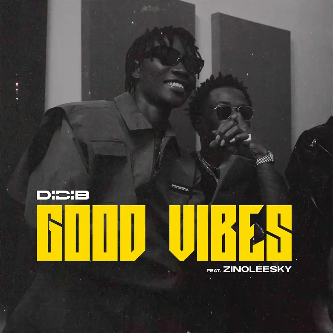 Didi B – Good Vibes ft. Zinoleesky Cover Art