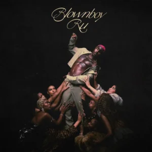 Ruger – BlownBoy RU Album