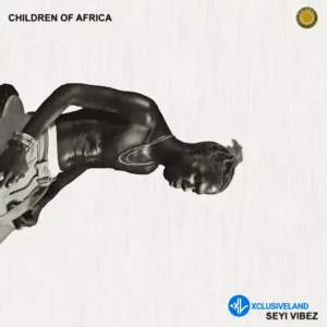 Seyi Vibez – HAPPY SONG