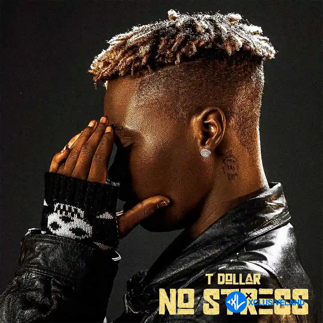 T Dollar – Ginger Cover Art