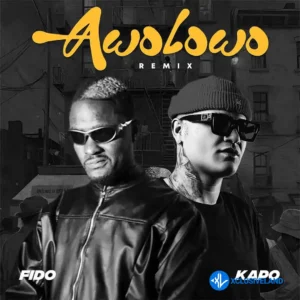 Fido – Awolowo (Remix) ft. Kapo