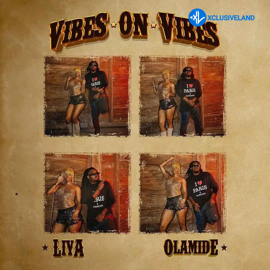 Liya – Vibes On Vibes ft. Olamide Cover Art