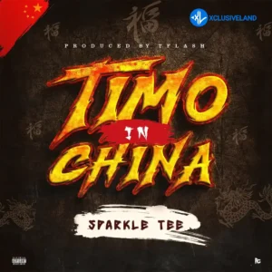 Sparkle Tee – Timo In China
