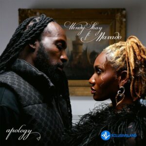 Wendy Shay- Apology Ft Mavado
