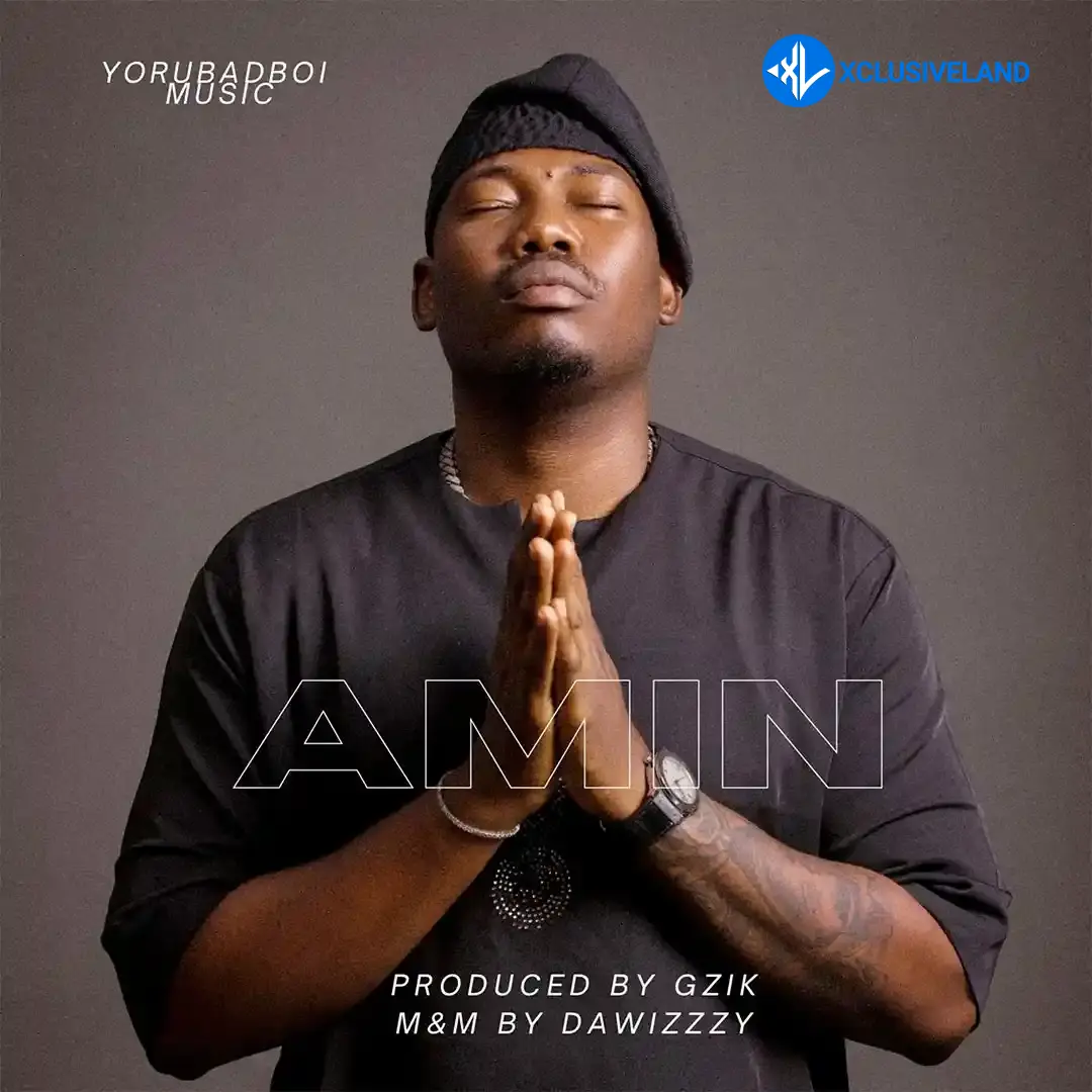 Qdot – Amin Cover Art
