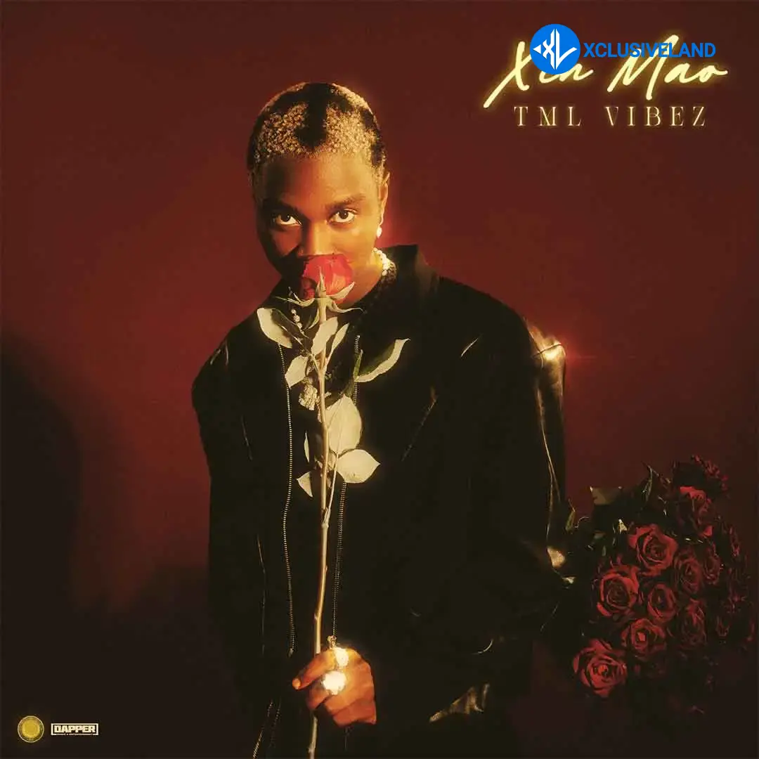 Tml Vibez – Rara ft. Taves Cover Art