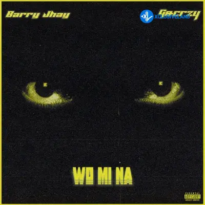 Anonymous Music – Wo Mi Na Ft. Barry Jhay & Gocrazy Cover Art