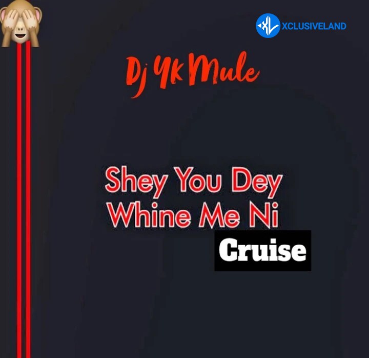 DJ YK Mule – Shey You Dey Whine Ni (Cruise) Cover Art