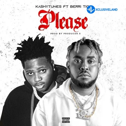 KashyTunes – Please Ft. Berri Tiga Cover Art