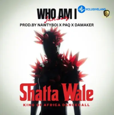 Shatta Wale – Who Am I Cover Art