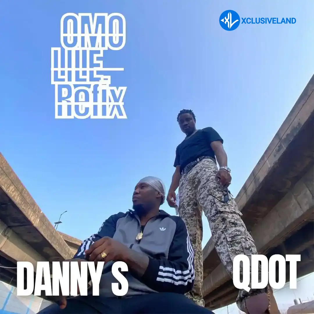 Danny S – Omo Lile (Refix) ft. Q dot Cover Art