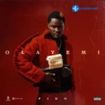 Joy Is Coming (Remix)