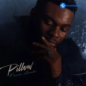 Nonso Amadi – PILLOW