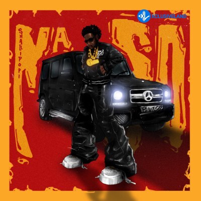 Shallipopi – Na So Cover Art