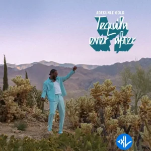 Adekunle Gold – Ogaranya