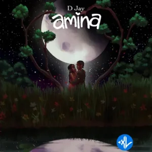D Jay – Amina