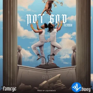 Fameye – Not God (Remix) ft. Stonebwoy