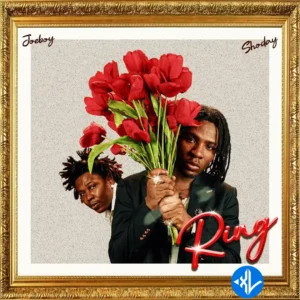 Joeboy – Ring ft. Shoday