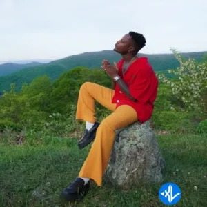 Kelvyn Boy – Softly ft. Tekno