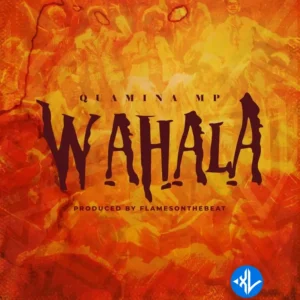 Quamina Mp – Wahala