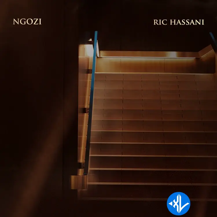 Ric Hassani – Ngozi Cover Art
