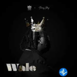 Anonymous Music – Wale ft. Barry Jhay