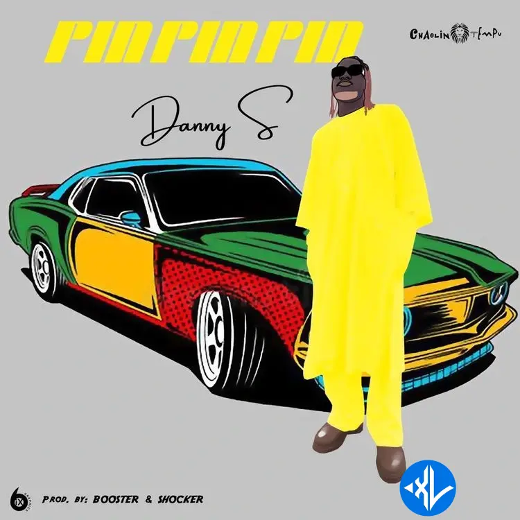 Danny S – Pin Pin Pin Cover Art