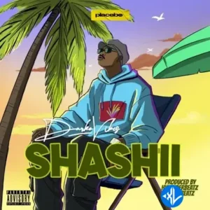 DarkoVibes – Shashii