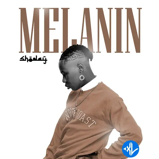 Shoday – Melanin Cover Art