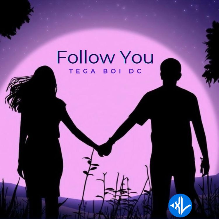 Tega Boi Dc – Follow You Cover Art