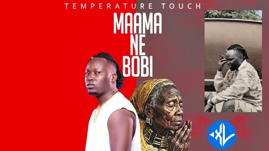 Temperature Touch – Mama Ne Bobi Cover Art