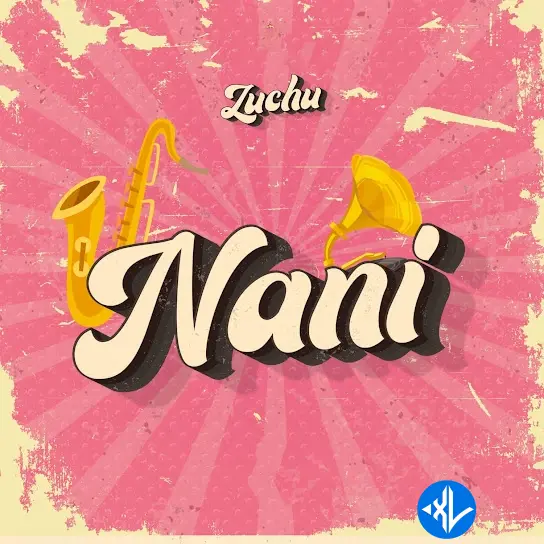 Zuchu – Nani Cover Art