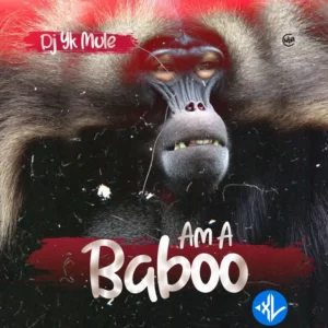 Dj Yk Mule – Am A Baboo