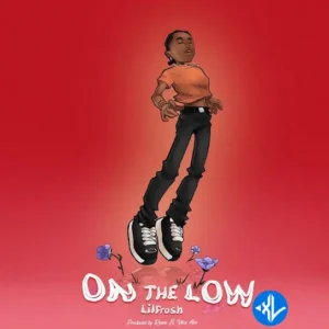Lil Frosh – On The Low