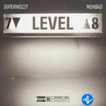 Level