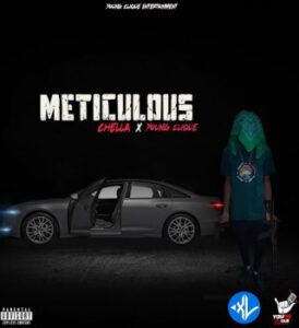 Chella – Meticulous Ft Young Clique