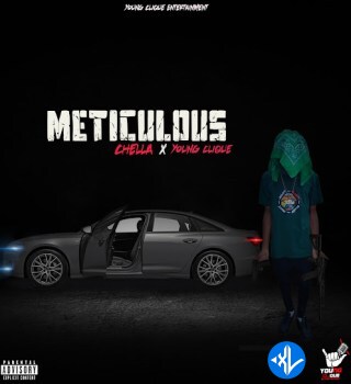 Chella – Meticulous Ft Young Clique Cover Art