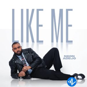 Like Me MP3 Download